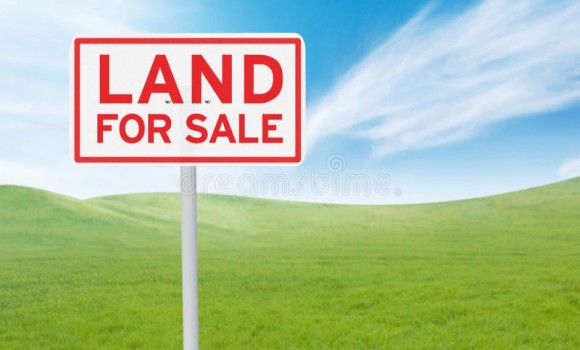  Property for Sale - Commercial land -   